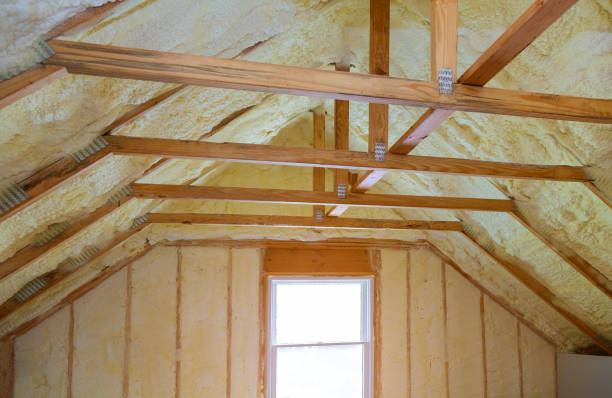 Best Eco-Friendly Insulation in Spencerville, MD
