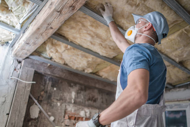 Types of Insulation We Offer in Spencerville, MD